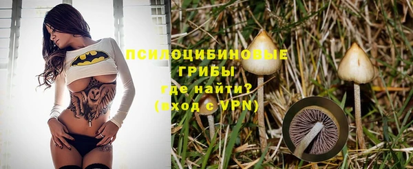 ГАЛЛЮЦИНОГЕННЫЕ ГРИБЫ Лабытнанги