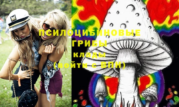 мдма Ладушкин